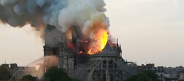 Incendio en la catedral parisina de Notre Dame - Sputnik Mundo