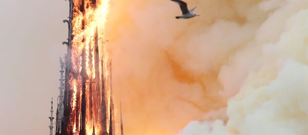 Incendio en la catedral parisina de Notre Dame - Sputnik Mundo