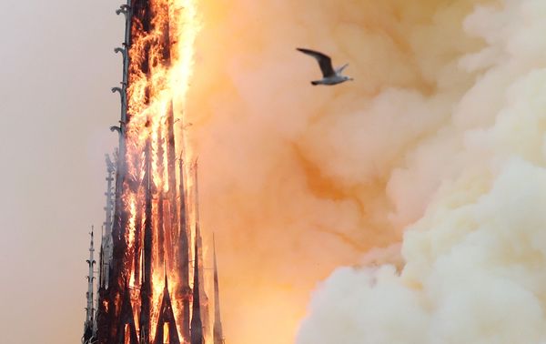 Arde Notre Dame - Sputnik Mundo