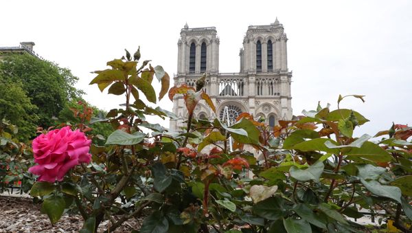 La catedral parisina de Notre Dame La catedral parisina de Notre Dame - Sputnik Mundo