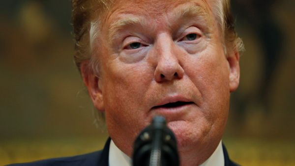 Donald Trump, presidente de EEUU Donald Trump, presidente de EEUU - Sputnik Mundo
