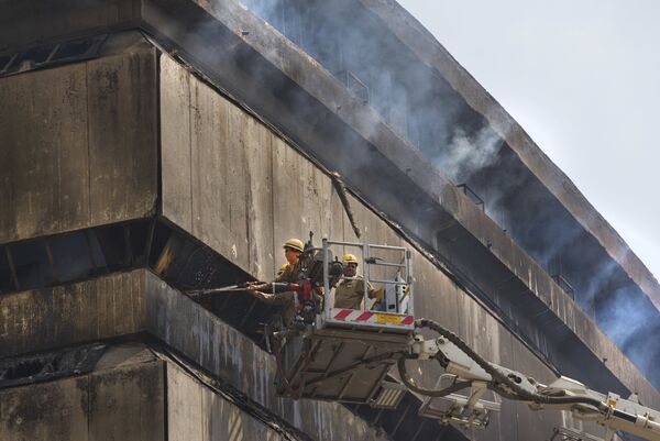 El incendio en el Museo de Historia Natural de la India (2016) - Sputnik Mundo