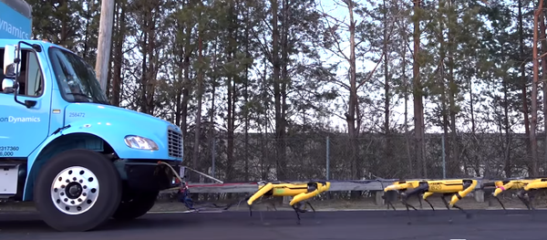 Los perros robot de Boston Dynamics ya saben remolcar un camión - Sputnik Mundo