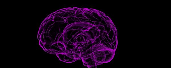 Cerebro (imagen referencial) - Sputnik Mundo