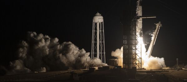 La nave espacial Crew Dragon de SpaceX - Sputnik Mundo