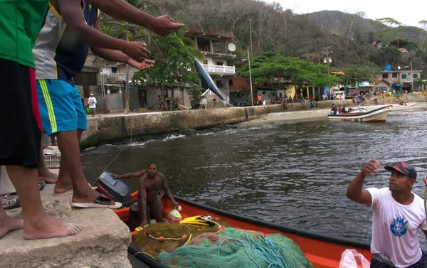 Pobladores de Chuao encontraron en la pesca una forma de sobrellevar la crisis que enfrenta Venezuela Pobladores de Chuao encontraron en la pesca una forma de sobrellevar la crisis que enfrenta Venezuela - Sputnik Mundo