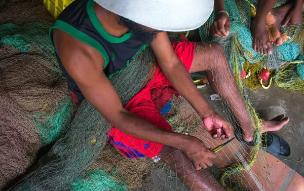 Pobladores de Chuao encontraron en la pesca una forma de sobrellevar la crisis que enfrenta Venezuela Pobladores de Chuao encontraron en la pesca una forma de sobrellevar la crisis que enfrenta Venezuela - Sputnik Mundo