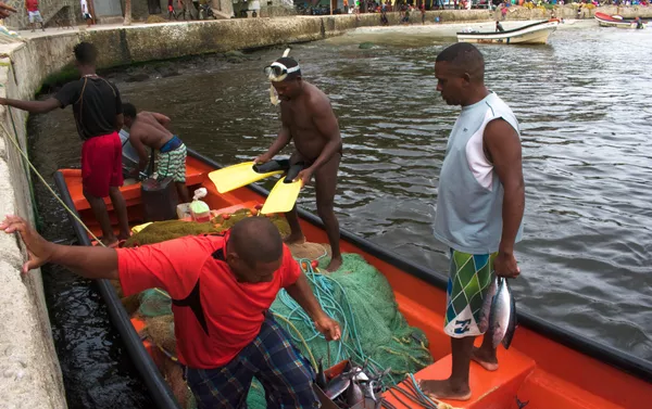 Pescadores en el puerto Pescadores en el puerto - Sputnik Mundo