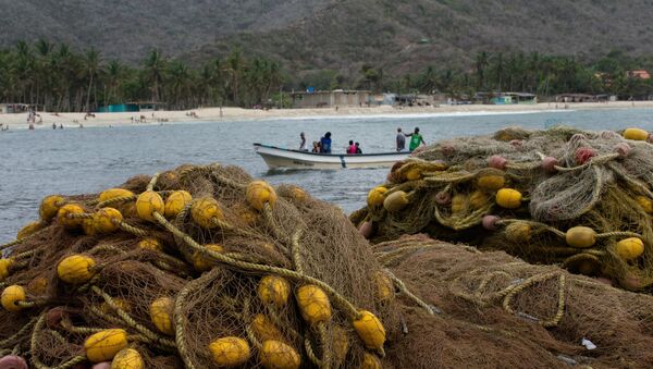 Comer a diario pescado e intercambiarlo por productos de primera necesidad se ha convertido en la opción de los pobladores de Chuao - Sputnik Mundo