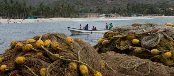 Comer a diario pescado e intercambiarlo por productos de primera necesidad se ha convertido en la opción de los pobladores de Chuao Comer a diario pescado e intercambiarlo por productos de primera necesidad se ha convertido en la opción de los pobladores de Chuao - Sputnik Mundo