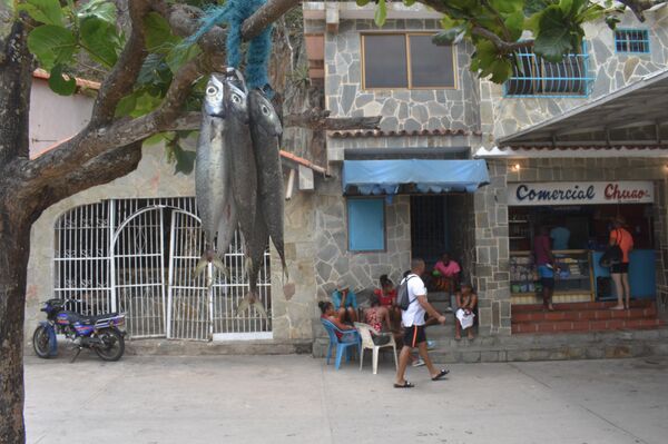 Pueblo costero de Chuao hace frente a la crisis venezolana con una red de pesca (fotos) - Sputnik Mundo