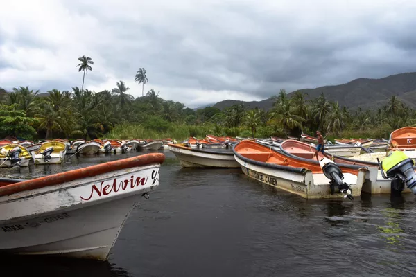 Pueblo costero de Chuao hace frente a la crisis venezolana con una red de pesca (fotos) Pueblo costero de Chuao hace frente a la crisis venezolana con una red de pesca (fotos) - Sputnik Mundo