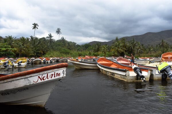 Pueblo costero de Chuao hace frente a la crisis venezolana con una red de pesca (fotos) - Sputnik Mundo