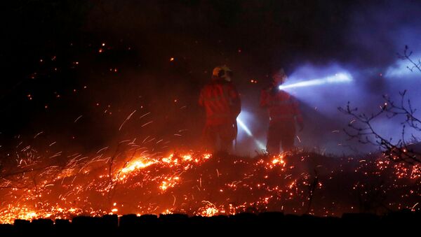 Incendios forestales en Gran Bretaña - Sputnik Mundo