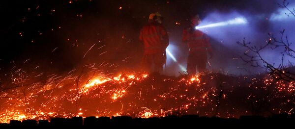 Incendios forestales en Gran Bretaña - Sputnik Mundo