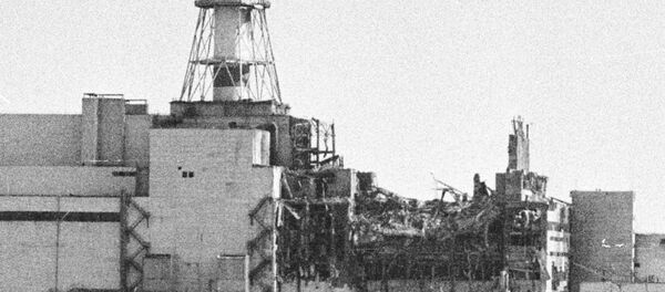 El efecto del terrible accidente nuclear de Chernóbil sigue activo: zona de exclusión - Sputnik Mundo