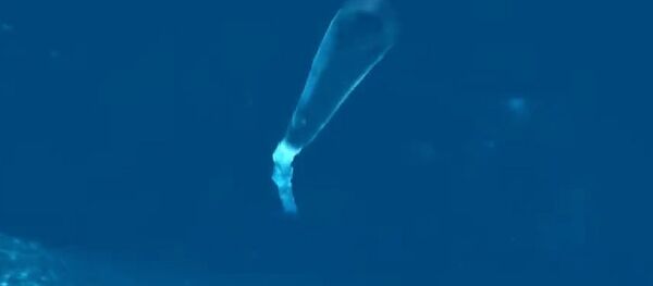 Dron submarino ruso Poseidon - Sputnik Mundo