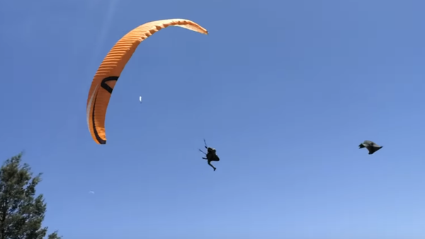 Su marido hizo parapente en el lugar y en el momento equivocado - Sputnik Mundo