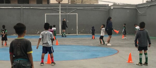 La labor de 'Los grandes de Lídice' se da en el gimnasio de un colegio, al que pudieron acceder por la importancia que ha dado la Revolución bolivariana al desarrollo a través del deporte - Sputnik Mundo