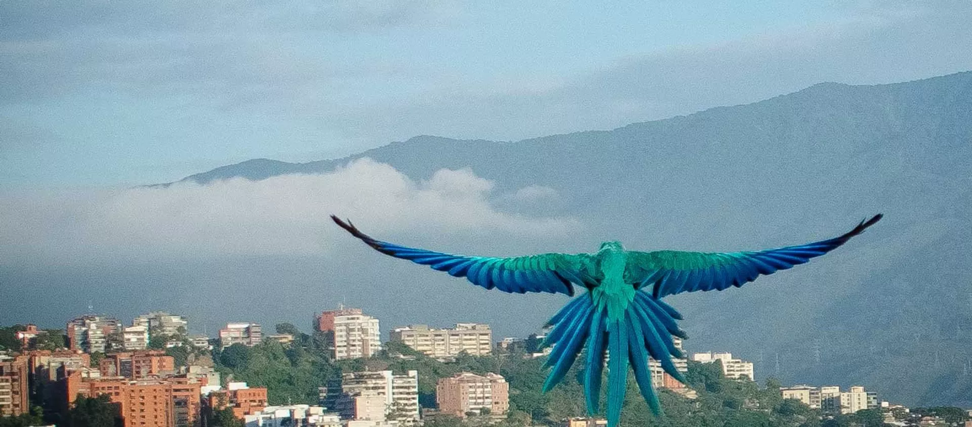 Las Guacamayas Las Guacamayas - Sputnik Mundo, 1920, 30.04.2019