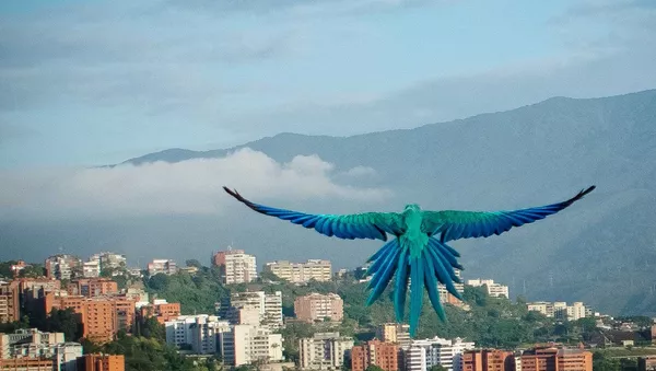 Las Guacamayas - Sputnik Mundo