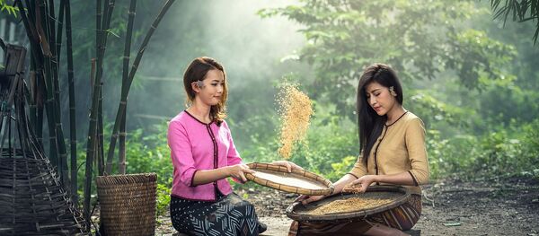 Mujeres seleccionan arroz - Sputnik Mundo