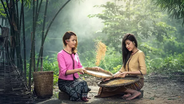 Mujeres seleccionan arroz - Sputnik Mundo