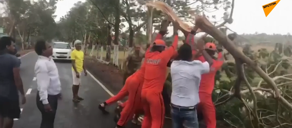 Vídeo: el ciclón Fani destroza la costa oriental de la India - Sputnik Mundo