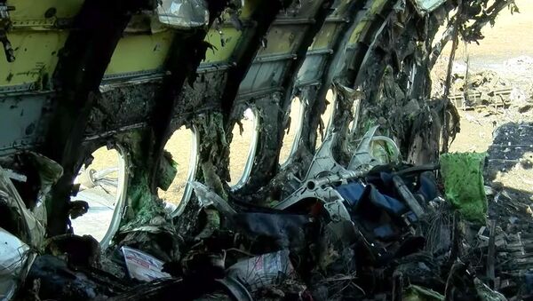 Interior del SuperJet 100 estrellado en Moscú - Sputnik Mundo