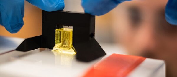 Un científico prepara el primer modelo en 3D de un pulmón - Sputnik Mundo