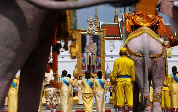 Desfile de elefantes en Bangkok, Tailandia - Sputnik Mundo