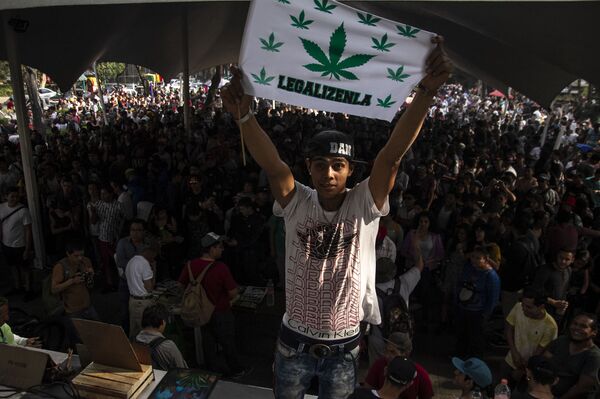 Así es el debate sobre regulación de la marihuana en México, el país de la 'Guerra contra las Drogas' - Sputnik Mundo