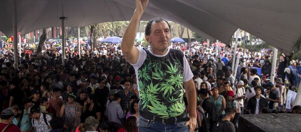 Alfonso Jesús García Pérez posa para foto en el evento de la Federación Mariguana Liberación - Sputnik Mundo