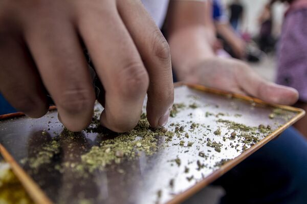 Así es el debate sobre regulación de la marihuana en México, el país de la 'Guerra contra las Drogas' - Sputnik Mundo