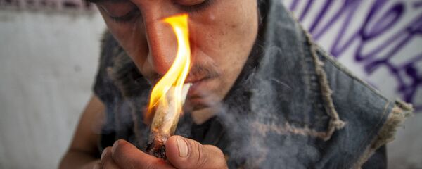 Usuario de marihuana en uno de los eventos de la Federación Mariguana Liberación en la Ciudad de México - Sputnik Mundo