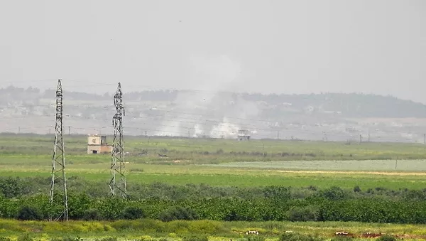 Ataques aéreos de la aviación siria en Hama - Sputnik Mundo
