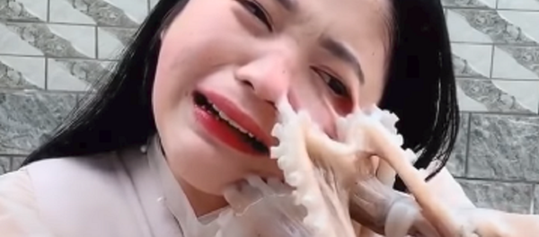 Ataque marino: una bloguera intenta comerse un pulpo y casi pierde un ojo (vídeo) - Sputnik Mundo