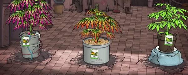 El videojuego Weedcraft Inc., captura de pantalla - Sputnik Mundo