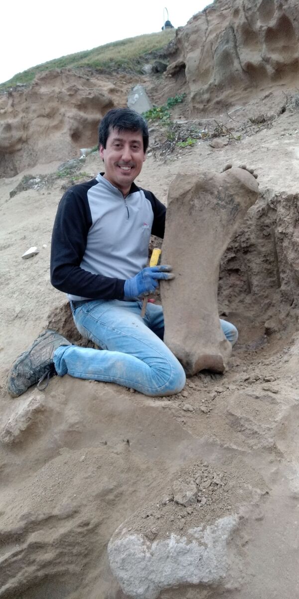 Escolares hallan fósil de mamífero prehistórico en Argentina (fotos) - Sputnik Mundo