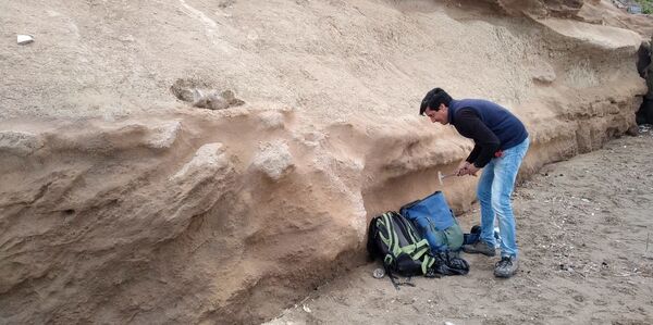 Escolares hallan fósil de mamífero prehistórico en Argentina (fotos) - Sputnik Mundo