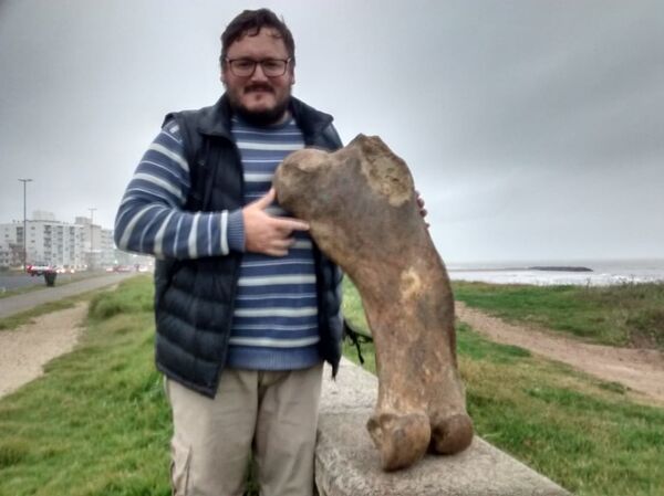 Escolares hallan fósil de mamífero prehistórico en Argentina (fotos) - Sputnik Mundo