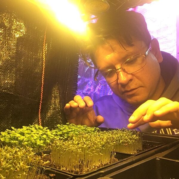 Ernesto Olvera fue a la NASA a disertar sobre su investigación - Sputnik Mundo