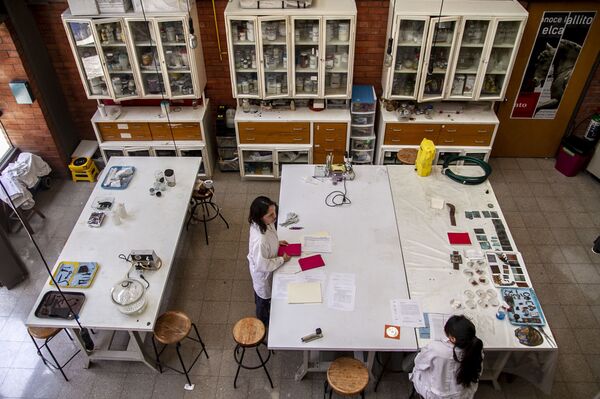 La apasionante historia del 'Caballito', una de las esculturas más importantes de México (fotos) - Sputnik Mundo