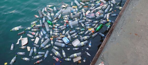 Plástico en el mar - Sputnik Mundo