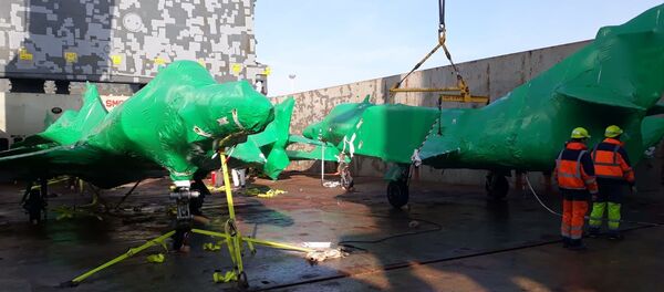 Los aviones Super Étendard que compró la Fuerza Aérea Argentina embalados con su protección Los aviones Super Étendard que compró la Fuerza Aérea Argentina embalados con su protección - Sputnik Mundo