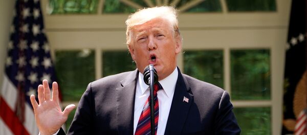 Donald Trump, presidente de EEUU - Sputnik Mundo