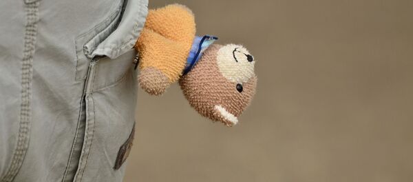 Un oso de peluche - Sputnik Mundo