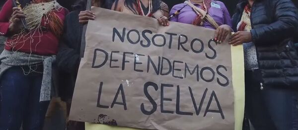 Los indígenas de Ecuador marchan para salvar sus tierras ancestrales de las petroleras - Sputnik Mundo