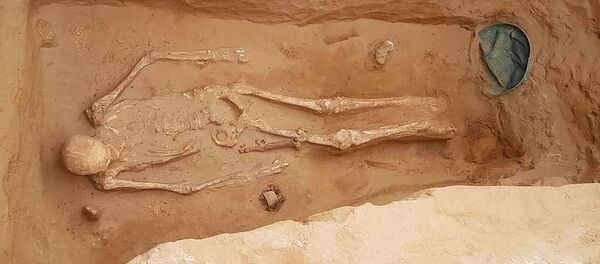 Conoce el tesoro de la Edad de Hierro encontrado en Rusia - Sputnik Mundo