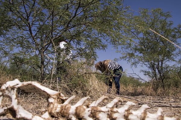 Torreón, Coahuila: Claudia Soto busca a su esposo Isaías Uribe Hernández desaparecido por el Ejército mexicano el 5 de abril de 2009 en Torreón - Sputnik Mundo